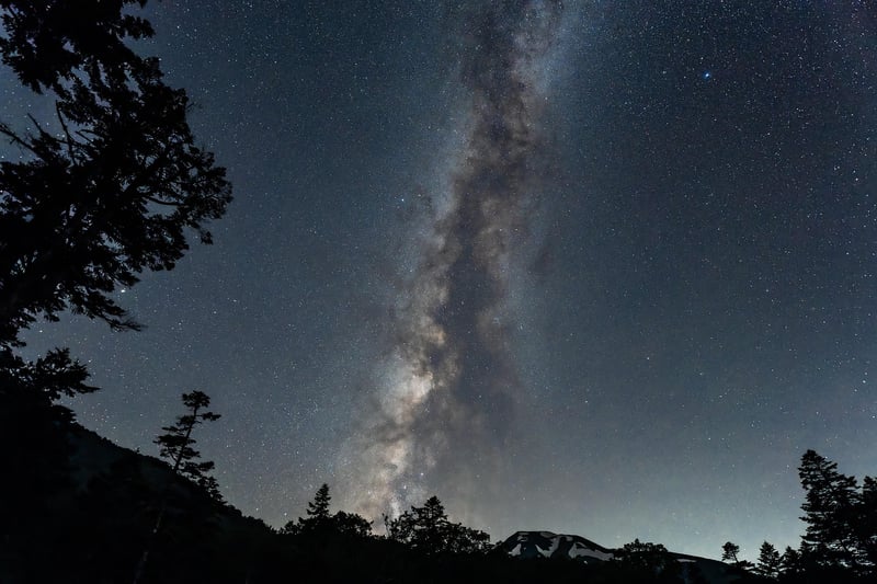 Gardeners connecting under the Milky Way